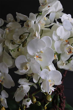 Laos Silver Big, efektowny sztuczny storczyk, wys.78cm  