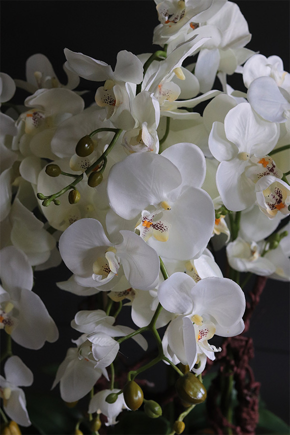 Laos Silver Big efektowny sztuczny storczyk