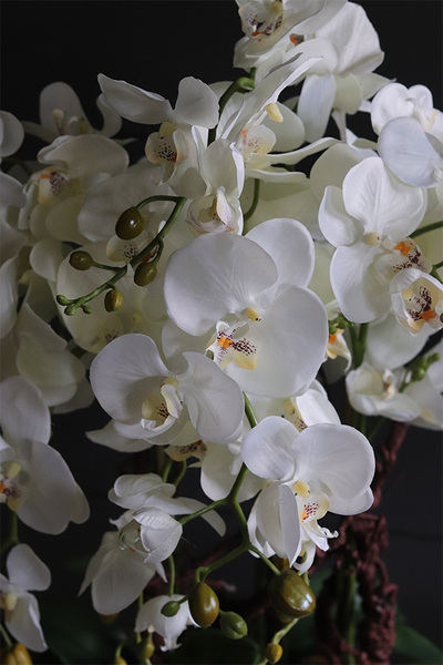 Laos Silver Big efektowny sztuczny storczyk