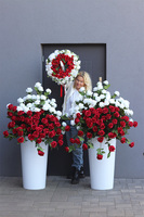 Maria Callas Polonia, podłogowa dekoracja kwiatowa