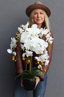 Black Everest, sztuczny storczyk w czarnej donicy