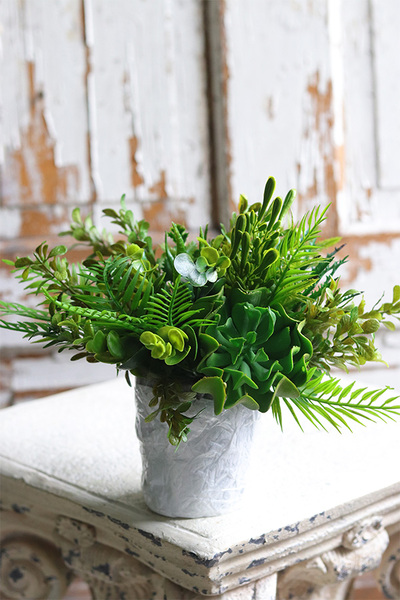 Minimalism Sukulenty Saute, zielona dekoracja do twojej donicy