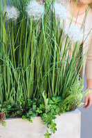 Moderni Concrete, sztuczna trawa z dmuchawcami w betonowej donicy,