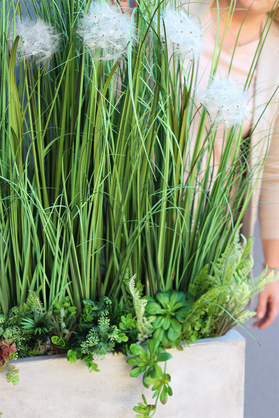 Moderni Concrete, sztuczna trawa z dmuchawcami w betonowej donicy,