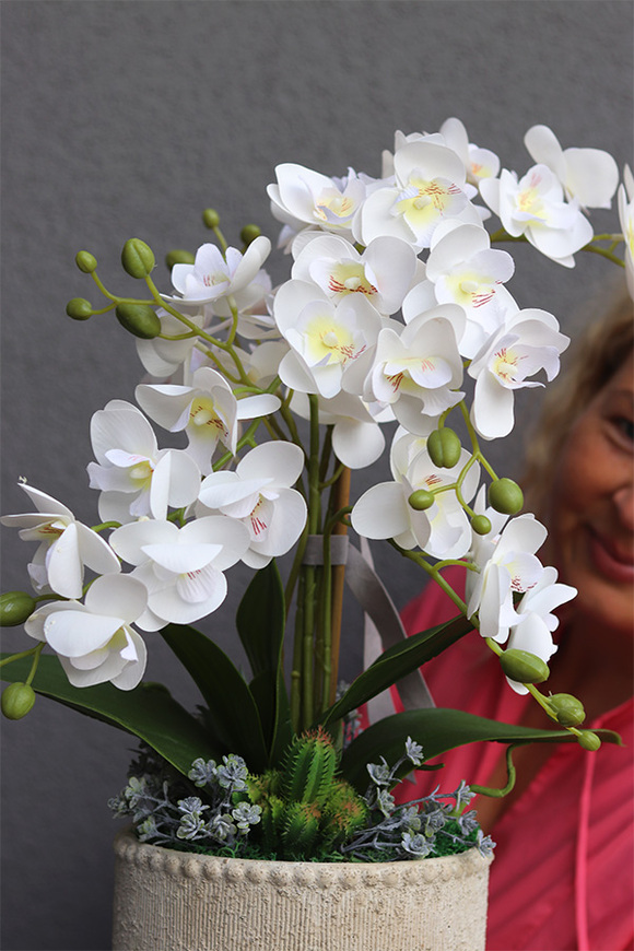 Kulena 2, gumowy storczyk w etno donicy