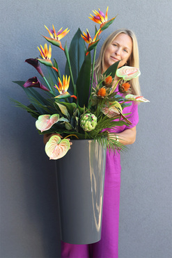 Anturium & Strelicja Grey Mediolan, egzotyczna kompozycja, wys.120cm