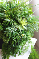 Green Dekorina, kompozycja sukulenty w donicy