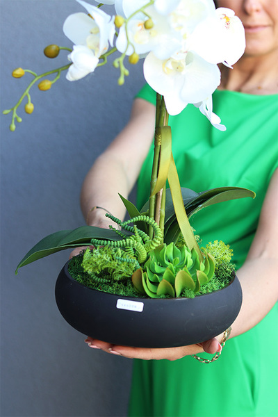 Kleneta Black 2, storczyk & sukulenty w czarnej misie