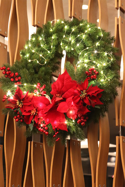 Gwiazda betlejemska Hilton, świąteczny wianek dekoracyjny