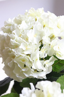 doniczkowa hortensja Kremowa, wysokiej jakości sztuczne kwiaty