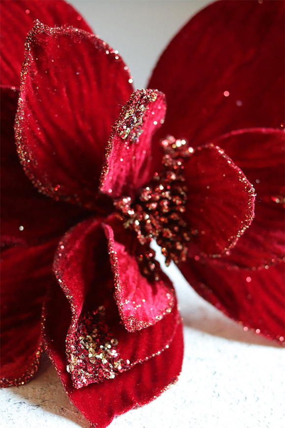 Gwiazda Betlejemska, świąteczny kwiat poinsecji z klipsem, czerwona