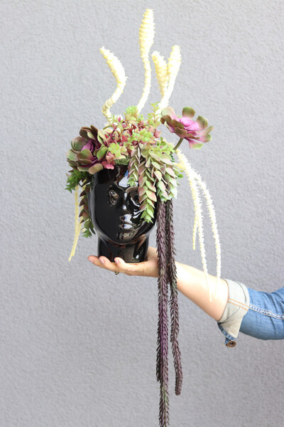 Cristina Head, kompozycja sukulenty w głowie