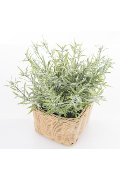 Rozmaryn, sztuczna roślina w ozdobnej osłonce, wym.17x15x15cm