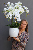 Hefrata Big, sztuczny storczyk w białej donicy