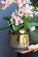 Pink Leonitre, gumowy storczyk w złotej donicy