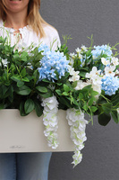 Belledia Trenata, elegancka kompozycja kwiatowa