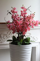 Gizelle Pink Cymbydium, sztuczny storczyk w donicy