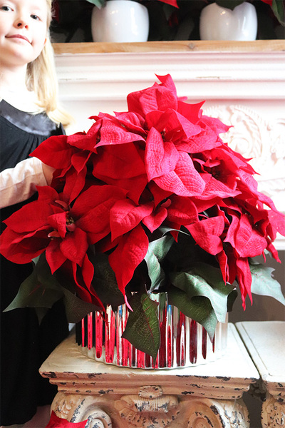 Gwiazda Betlejemska Silvereo, wysokiej jakości sztuczna roślina