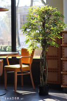 Klon Japoński, sztuczna roślina w doniczce