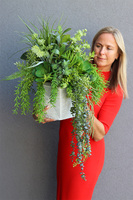 Renoma, zielona kompozycja sukulenty do twojej donicy