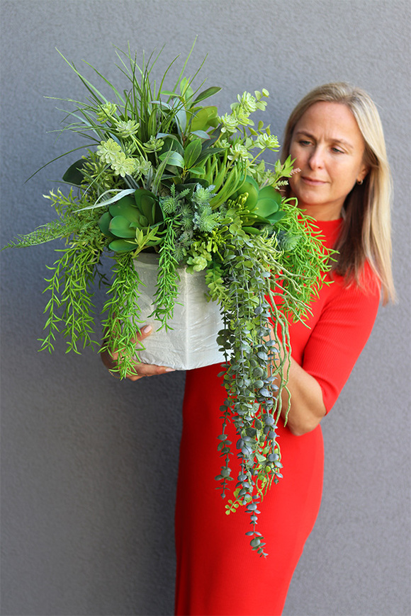 Renoma, zielona kompozycja sukulenty do twojej donicy