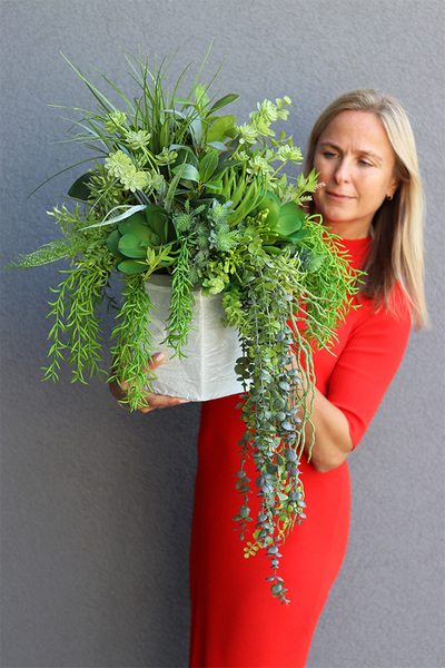 Renoma, zielona kompozycja sukulenty do twojej donicy