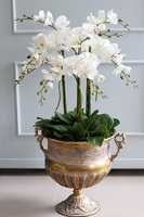 ekskluzywny storczyk w złotym pucharze, Gold Champagne Cooler, wys.83cm 