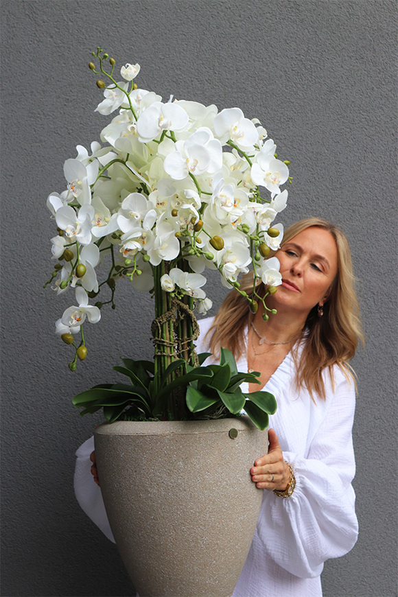 Beigenate, sztuczny storczyk podłogowy