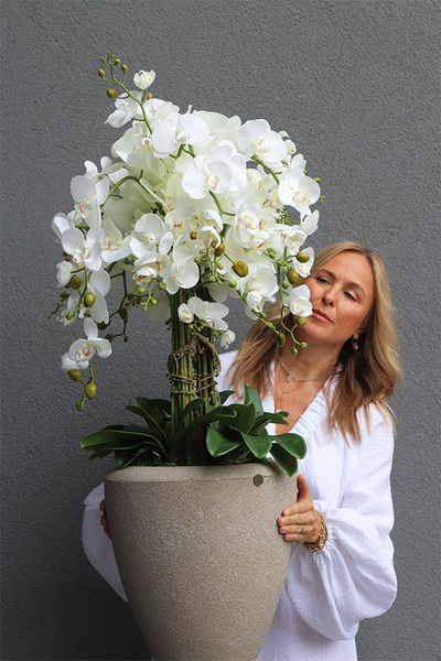 Beigenate, sztuczny storczyk podłogowy