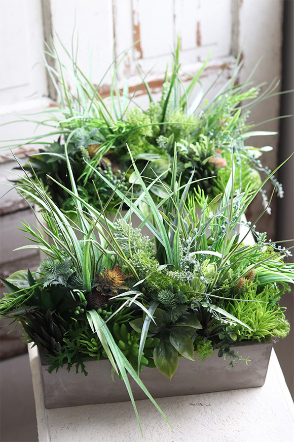 Betonia, kompozycja Sukulenty w betonowej donicy, wym.38x47cm