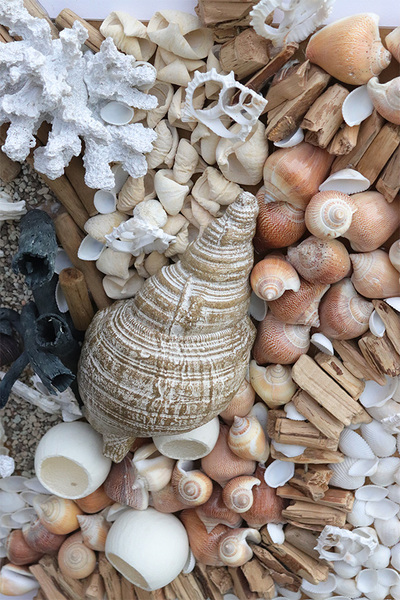 Hotels Seaside, jednostronna rama marynistyczna obraz