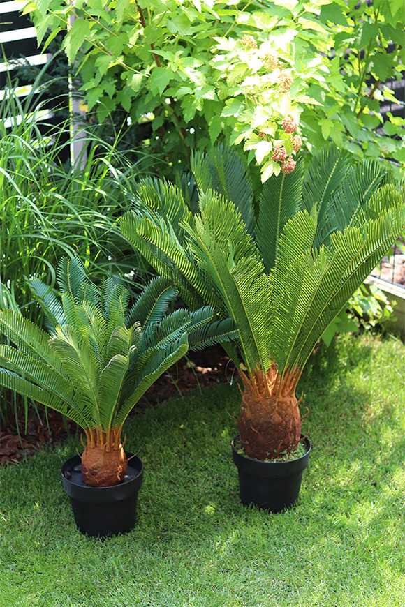 Cykas, sztuczna roślina w osłonce z tworzywa sztucznego, wys.100cm 