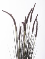 Negra, czarna sztuczna trawa z kłosami, wys.120cm