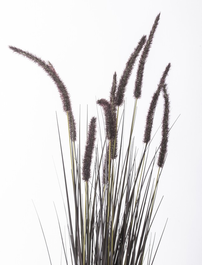 Negra, czarna sztuczna trawa z kłosami, wys.120cm