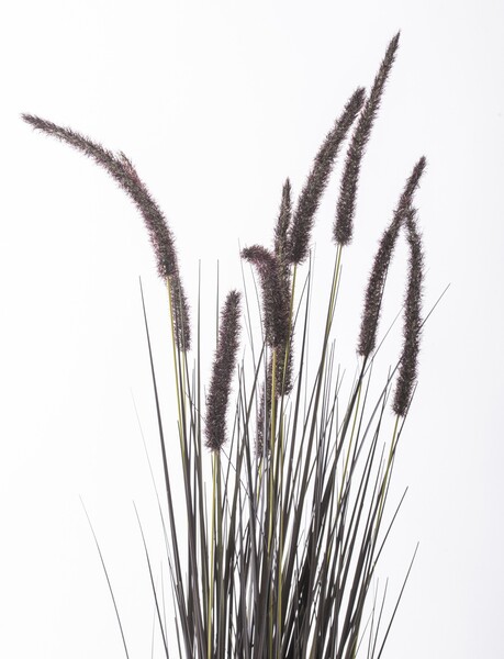 Negra, czarna sztuczna trawa z kłosami, wys.120cm 