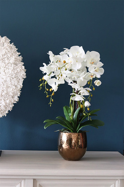 Galona 2, elegancki storczyk w złotej donicy, wys.60cm 