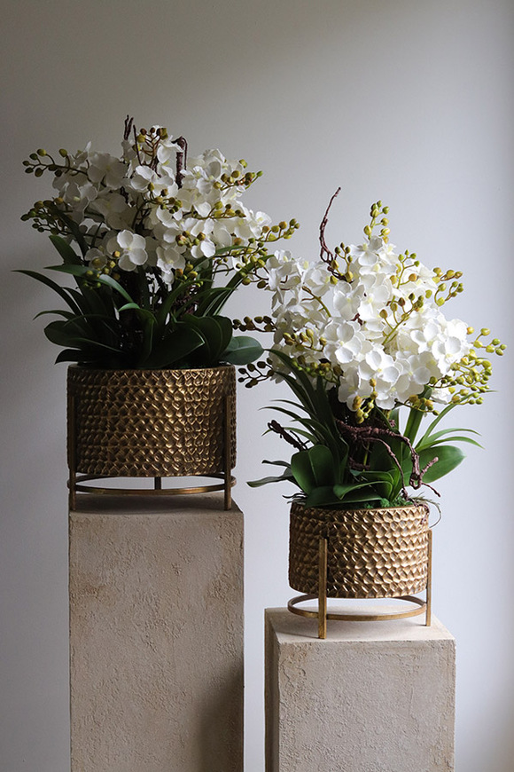 Goldenario Ellie S, biały gumowy storczyk w złotej donicy