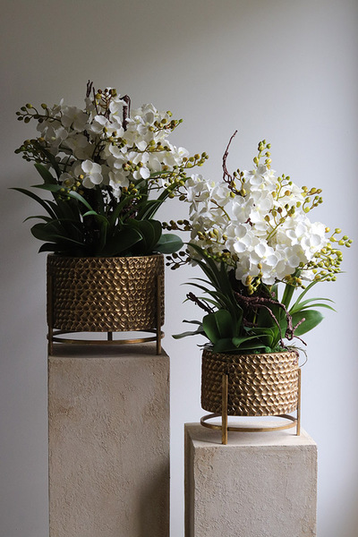 Goldenario Ellie S, biały gumowy storczyk w złotej donicy