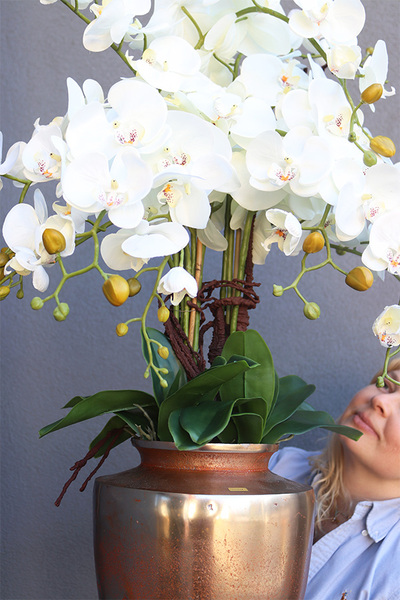 Champagne Exclusive Villa, storczyk w pucharze