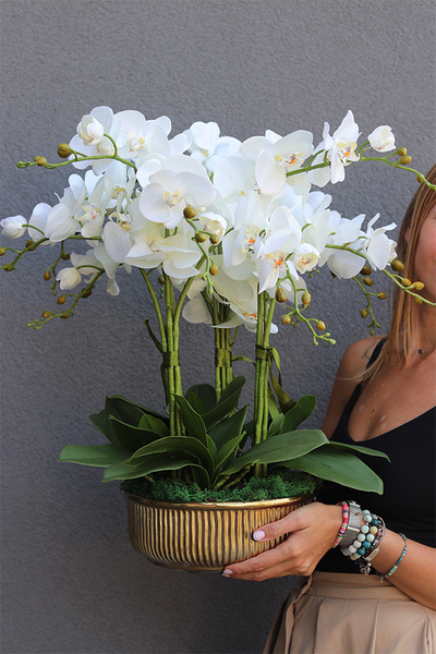 Hillton Gold 2, sztuczny storczyk w złotej misie, wys.60cm