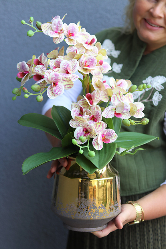 Pink Leonitre, gumowy storczyk w złotej donicy