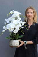 Geolia, sztuczny storczyk w doniczce