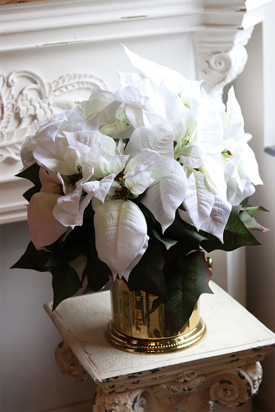 Gwiazda Betlejemska Cooler Deluxe White, wysokiej jakości sztuczna roślina