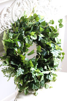 Winorośl, zielony wianek ozdobny