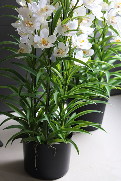 Cymbydium Ambasador, duży sztuczny storczyk XXL w doniczce