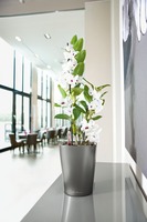 Deltini Mini, doniczka z nawadnianiem