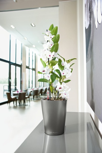 Deltini Mini, doniczka z nawadnianiem