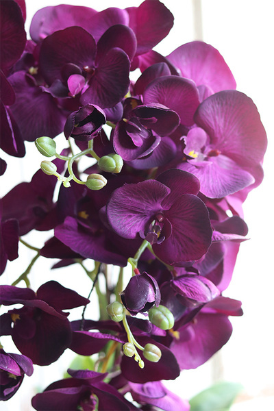 Purple Silveria, fioletowy storczyk w srebrnej donicy, wys.62cm 