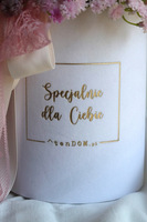 Gipsówka Ballerina, flowerbox kwiatowy welurowy