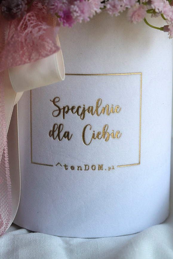 Gipsówka Ballerina, flowerbox kwiatowy welurowy